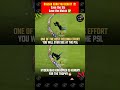 😍 Save the 6️⃣ ❌️ - Save the Match ✅️ Hassan Khan brilliant Fielding to save SIX vs Islamabad United