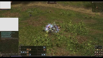 Multiboxing - Lineage 2 Classic