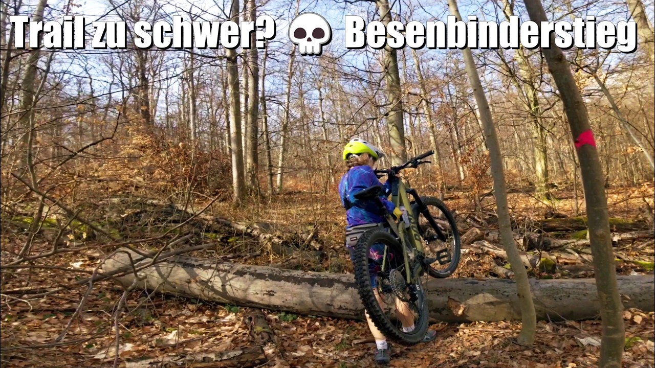 waldprinz campingstuhl ALPINEZ Faltbar & Leicht Type_Tires THE PROS AND CONS Wheelset:Microtech MX 25