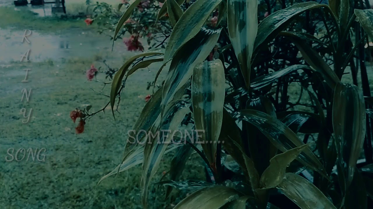 Someone else
