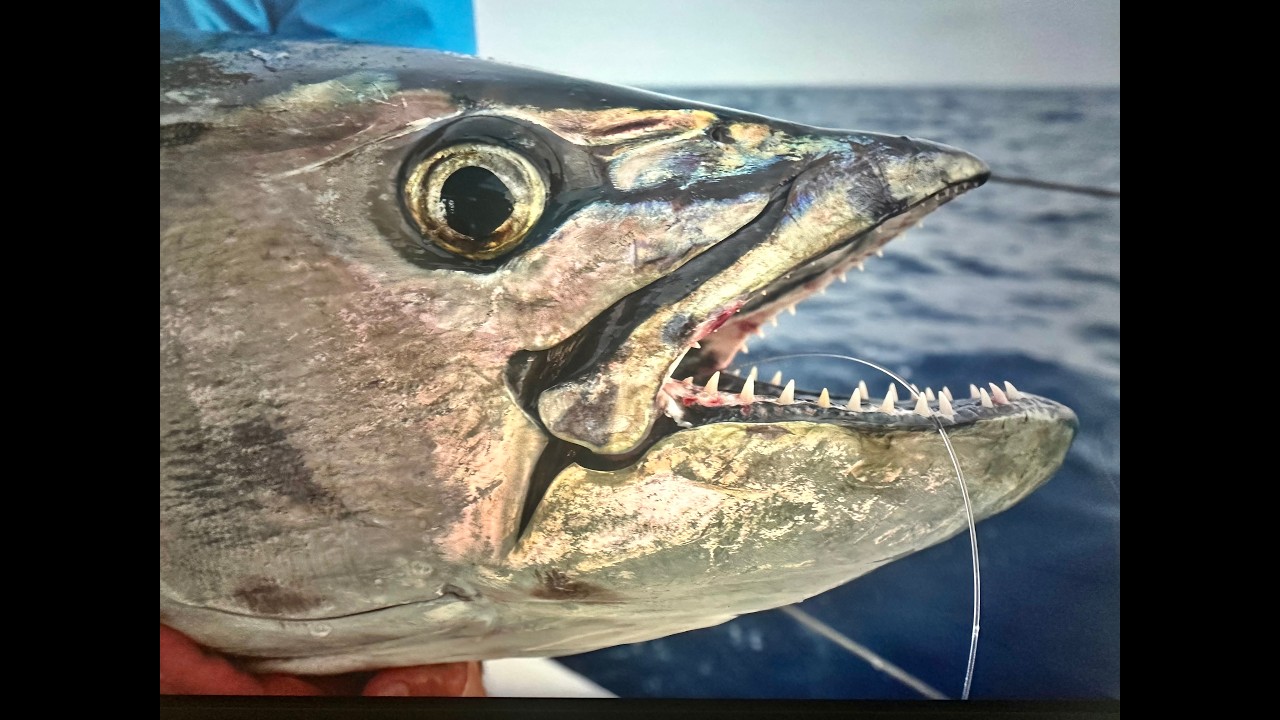 Seychellen - THE UNKNOWN OCEAN  - Jigging and popping like crazy - Catamaran Tour