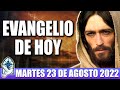 Evangelio De Hoy MARTES 23 De AGOSTO 2022 El Santo Evangelio Del Día De Hoy