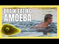 A brain-eating amoeba found in fresh water is heading north | #brain