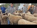 على المباشر الحولي الصردي والبركي ديال العيد في سوق الخميس سلا 30 04 2026 مع الأثمنة فرجة ممتعة