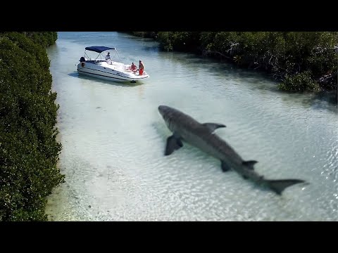 اغرب الاشياء التي حدثت امام الكاميرات ولن تتكرر