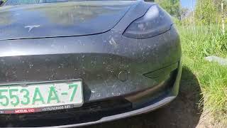 Tesla model 3 performance - катание по горкам