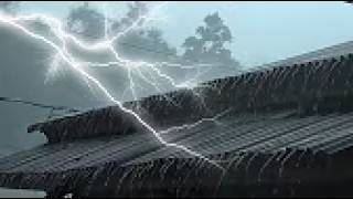 Heavy Rainstorm at Cozy Forest Cabin 🌧️ Sleep Instantly in 5 Minutes