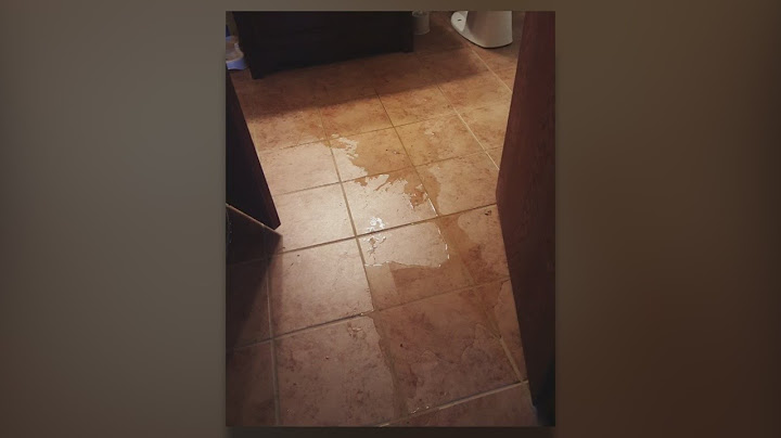 Family Shocked To Find Home Flooding Was Sewage