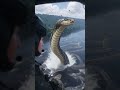 они не ожидали змей #хочуфакты #змея