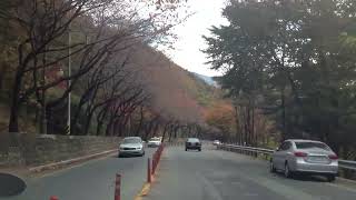혼자만의 가을여행을 떠나 봅니다. [2012/11/02]