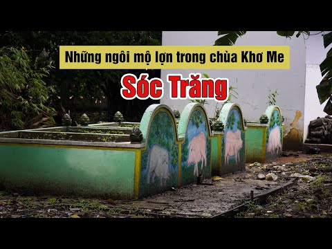 Video Bí ẩn tục chôn lợn ( heo ) 5 móng ở chùa Dơi tỉnh Sóc... - youtube