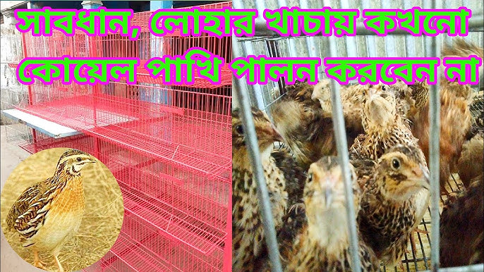 Haydash porno Demi Mur porno yulduzi