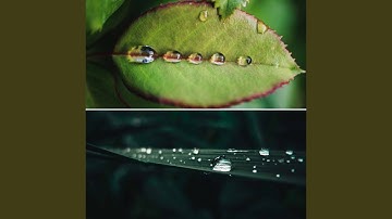 Superlative Smooth Jazz Saxophone - Vibe for Spring Storms