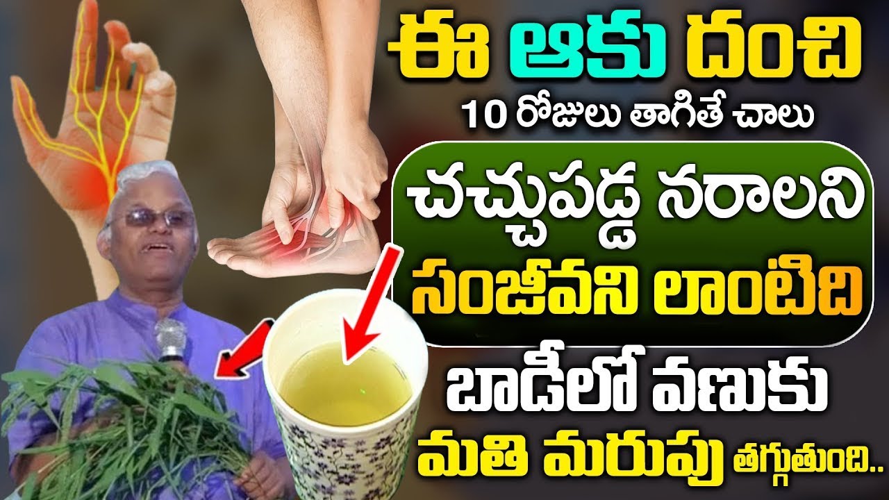 Dr Khadar Vali : నేను ప్రతి రోజు ఇదే తాగుతా 100 ఏనుగుల బలం | Reduce Nerve Weakness | Sumantv