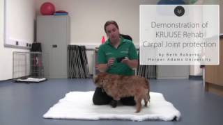 Demonstration of KRUUSE Rehab Carpal Protection