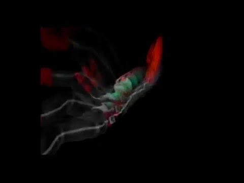 PS2 仮面ライダー正義の系譜 新2号 必殺技 Lv2 High フライングライダーパンチ