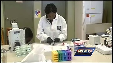 Auditor announces plan to clear rape kit backlog