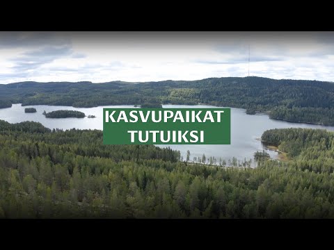 Video: Myrkylliset kasvit kotipuutarhassa: Mitkä ovat yleisiä myrkyllisiä puutarhakasveja