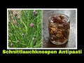 Schnittlauchknospen Antipasti Rezept | Schnittlauchkapern aus Knospen vom Schnittlauch