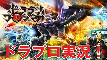 ドラゴン プロジェクト 金策