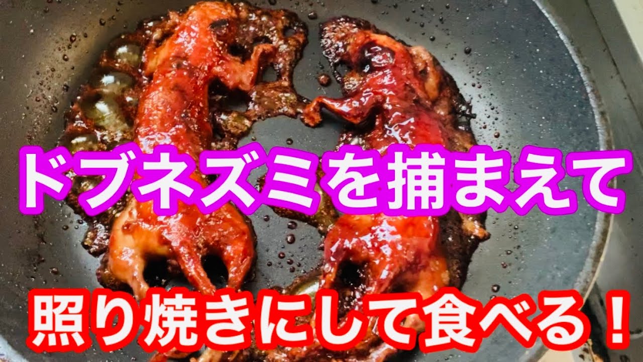 ネズミ料理 ドブネズミを捕まえて照り焼きにして食べた Catch A Brown Rat I Cook Teriyaki 抓住沟鼠 做照烧 Youtube