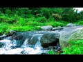 Nature Sounds for Sleeping for Stress Relief during Rain – Deep Relaxation – Feel Inner Peace