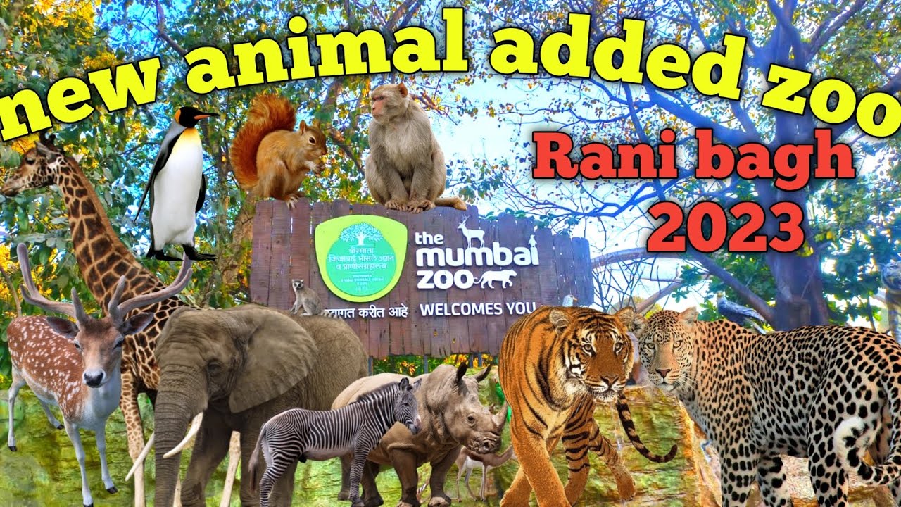 Rani bagh mumbai rani bagh mumbai kaise jaye rani bag byculla zoo