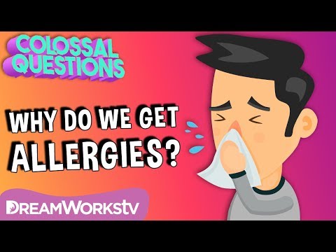 Why Do People Have Allergies? | COLOSSAL QUESTIONS