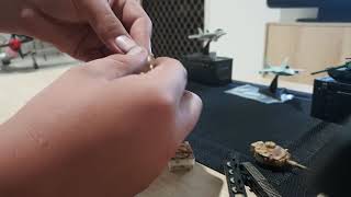 4D Master Tiger 1