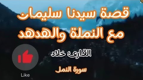 " قصة سيدنا سليمان مع النملة 🐜والهدهد 🦜 " من سورة النمل💕 | بصوت القارئ خلاد #خلاد #قرآن #reels