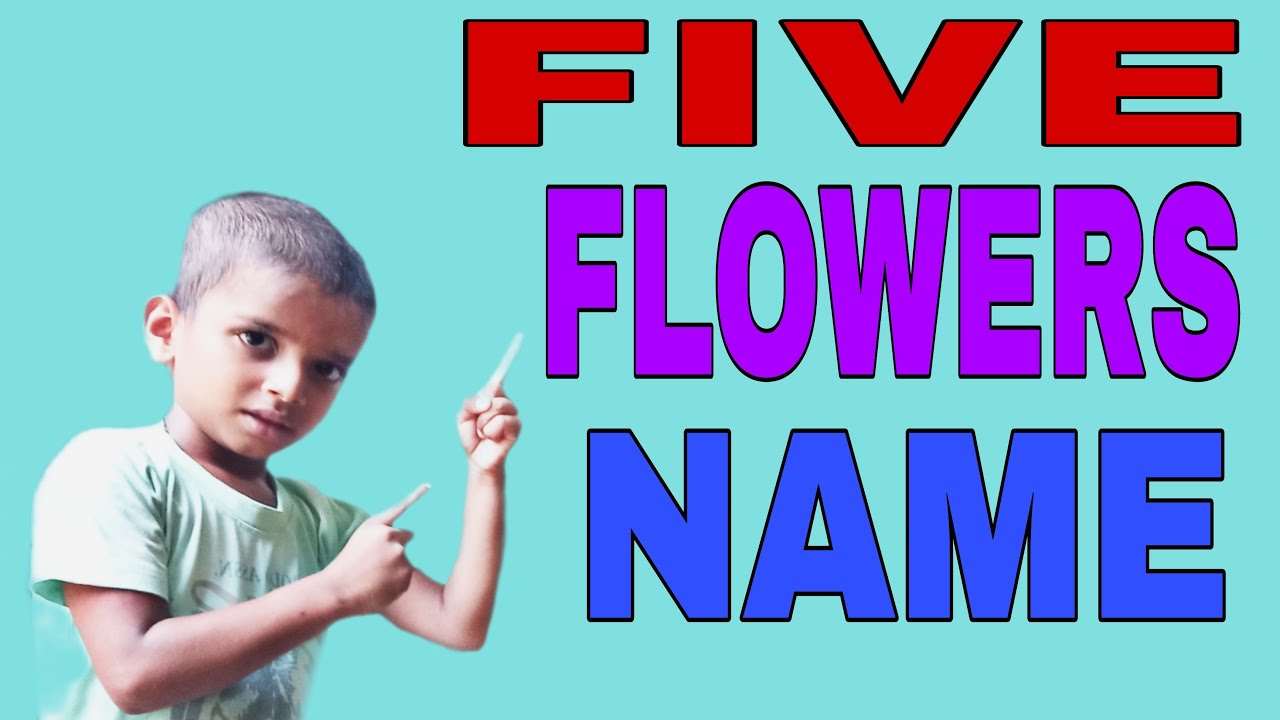 5 Flowers Name Learn Flowers Names in Hindi & English Name of Flowers Nursery LKG and UKG