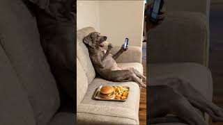 I believe Buddy’s had gotten the munchies!! He’s not fooling Ol Danny boy!! Haahaa