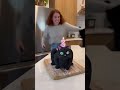 The cat realizes it's a fake cake and takes revenge on the woman🍰🤣#shorts #cat