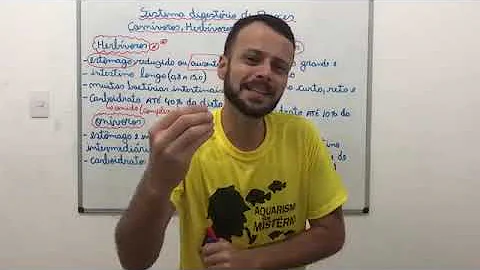 Como funciona o esôfago dos peixes?
