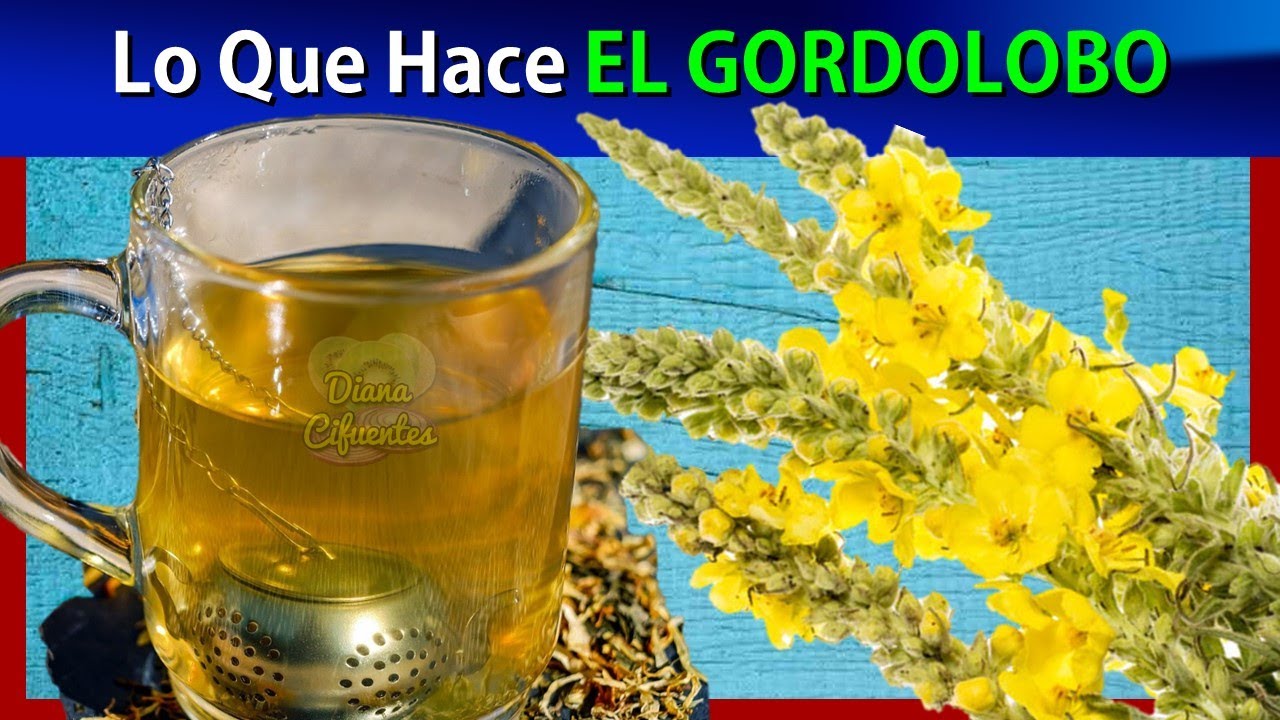 Para Que Sirve El GORDOLOBO Como Remedio Casero Para La Salud Y Como Se