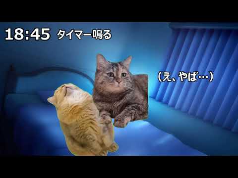 風俗嬢の日常 #猫マニ #猫ミーム