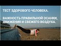 ТЕСТ ЗДОРОВОГО ЧЕЛОВЕКА // ЗАВИСТНИКИ и ПУГАЧЕВА // О ПРИГОЖИНЕ // TEZ TUR и МАШИНА МИЛЛИАРДЕРОВ