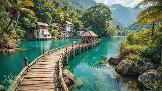 Download Lagu Beautiful Relaxing Music 🌿Stop Overthinking, Stress Relief Music, Peaceful Ambience for Meditation MP3