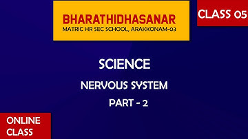 Science | Class 5 | Unit 9 | Part2 | Nervous System |  Bharathidhasanar  School