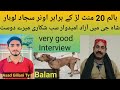 Top class pakistani bully breed dog name balam owner sajad lohar dogslover