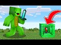 Speedrunner VS Hunter But You Can Go Inside Any Block Speedrunner VS Hunter But You Can Go Inside Any Block