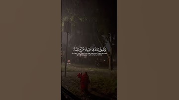 ياسر الدوسري | سورة النمل🌱