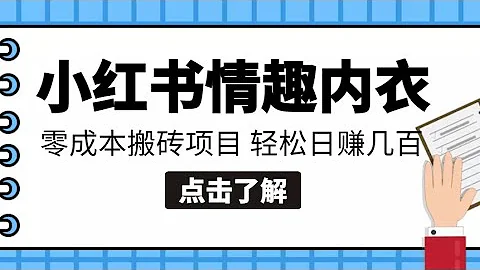 亲测日入1000，小红书无货源店群实操攻略免费分享；小红书0成本情趣内衣搬砖项目，轻松日赚几百+ - 天天要闻