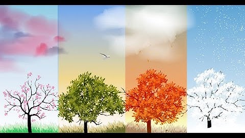 Các mùa trong năm- seasons in Vietnamese- Northern accent