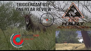 Triggercam BSP: One Year Review