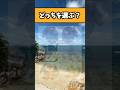 【ポケモン】どっちを選ぶ？ #ポケモン #アニメ #漫画 #イラスト #shorts