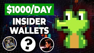 How To Make 1K A Day Tracking Insider Whales