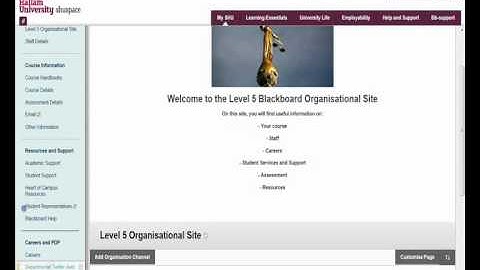 Adding twitter feed to Blackboard Sites 2014