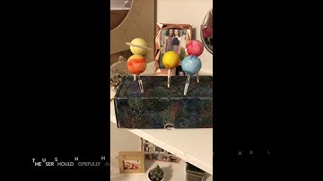 Interaction Design Principles