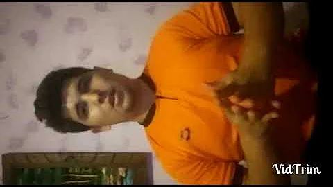 test de senior fitness